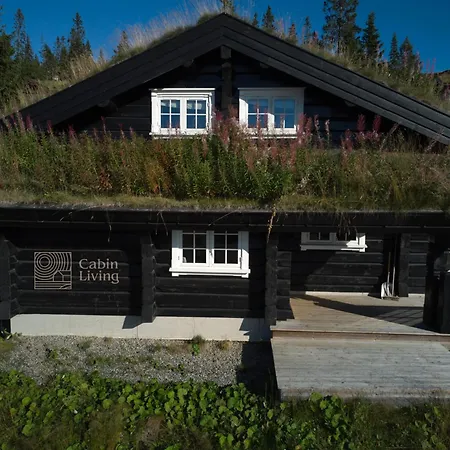 Fantastic On Inout Holiday home Hafjell