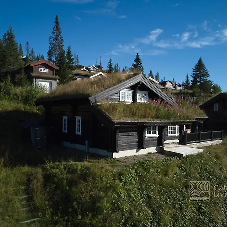 Fantastic On Inout Hafjell