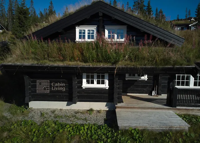 Large Family In In-out, Bbq, Terrace And Fireplace Semesterbostad Hafjell