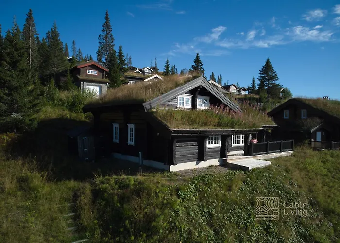 Large Family In In-out, Bbq, Terrace And Fireplace Hafjell